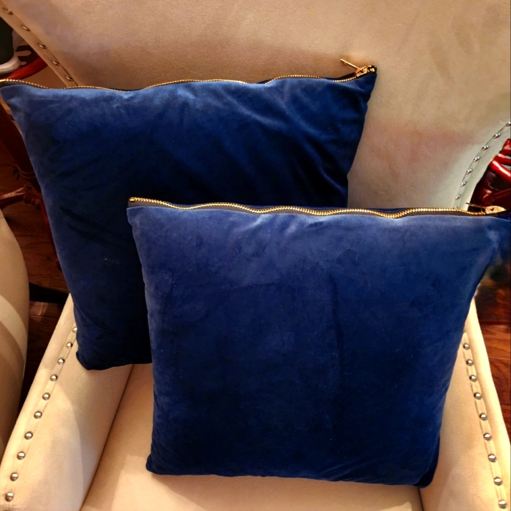 Blue Velvet Pillow covers pair